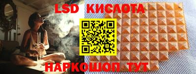 шишки Будённовск