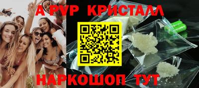 шишки Будённовск