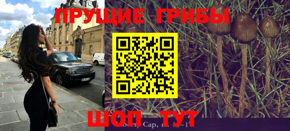 Полысаево  Галлюциногенные грибы мухоморы  Вход с VPN 