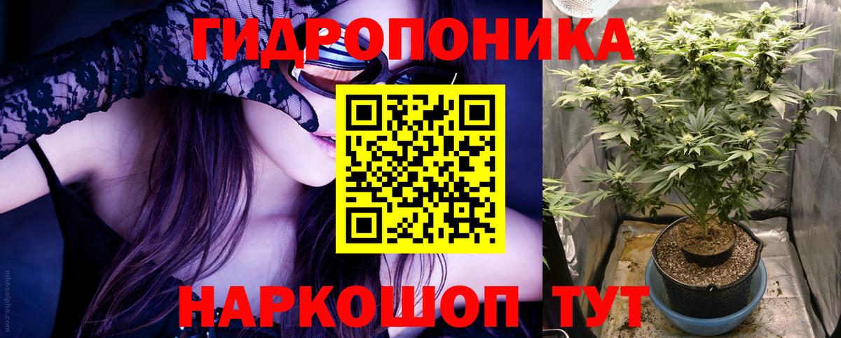 Бошки марихуана Ganja Полысаево